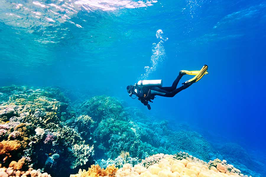 Diving in Samoa  Samoa Holiday Package Deals