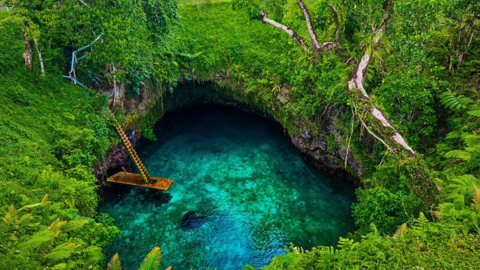 Top 5 Things to do in Samoa